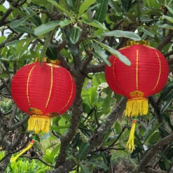 Medium Chinese Lanterns (30cm) - Pack 2 Nylon Lanterns
