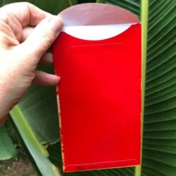 Lantern Festival - Red Money Envelopes (6 Pack) -Lantern Shop FullSizeRender 1f4d793d bb1e 4e69 bc99 764bc5e4c08b