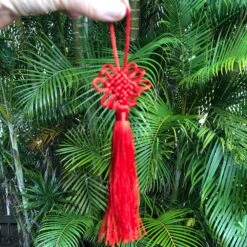 Luxurious Chinese Knot Tassel Hanging Decoration 12 Luxurious Chinese Knot Tassel Hanging Decoration -Lantern Shop FullSizeRender 50baae11 ccd0 4db3 9dde de6059098aaa