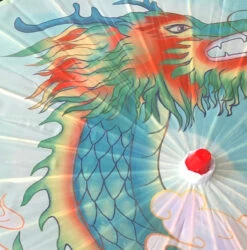 Nylon Parasol - Chinese Dragon -Lantern Shop FullSizeRender 76225426 b98a 404d ba7f f682c3dddbb0