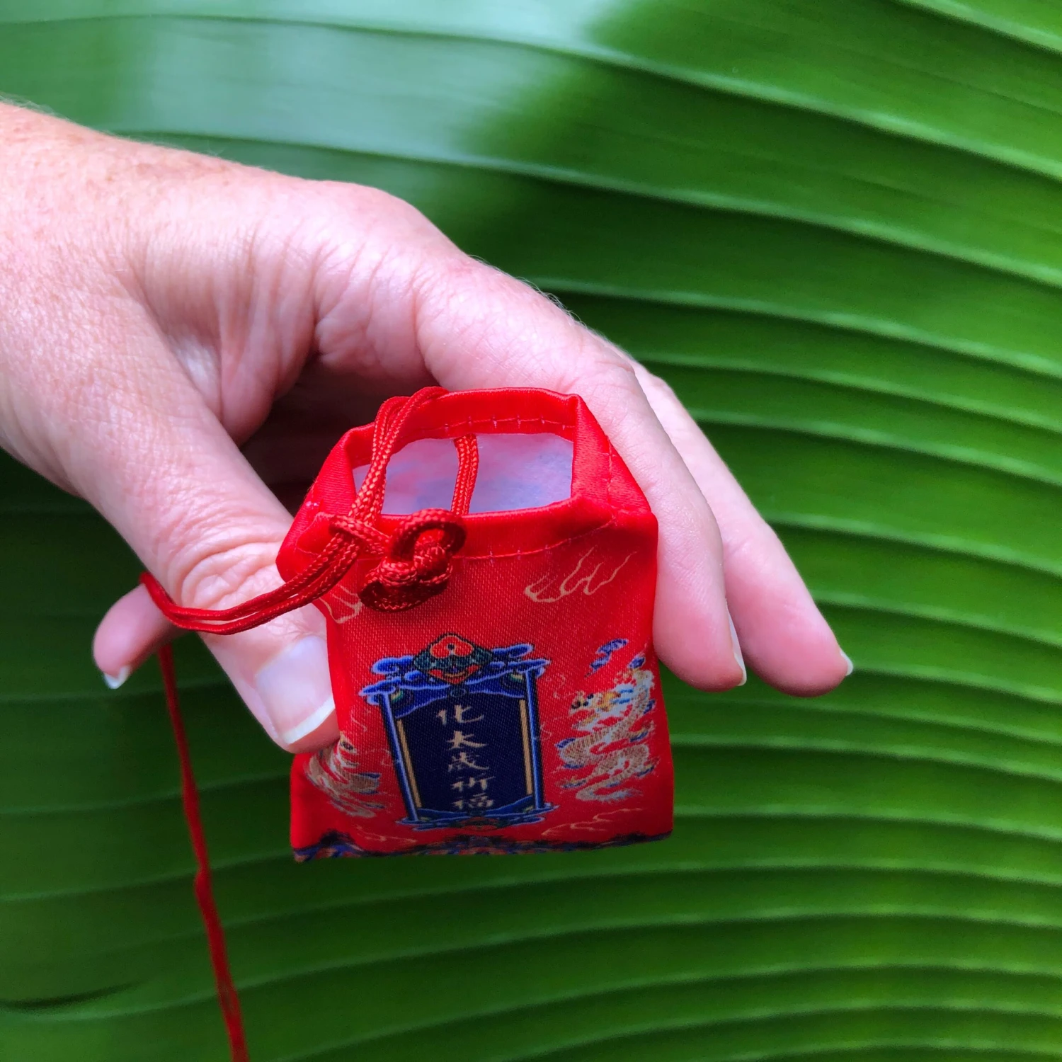 Eternal Health Amulet - Dragons 3 Eternal Health Amulet - Dragons - Image 3