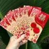 Red Lanterns And Blossoms - Red Money Envelopes (6 Pack) -Lantern Shop IMG 4955