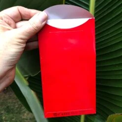 Pink Cherry Blossoms - Red Money Envelopes (6 Pack) -Lantern Shop IMG 4964