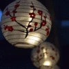 LED 8cm Cherry Blossom String Lighting Kit -Lantern Shop cherry blossom 8cm kit