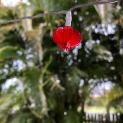 LED Chinese Mini Lantern Decorative Fairy Light String 11 LED Chinese Mini Lantern Decorative Fairy Light String -Lantern Shop image 11d1cfc7 7410 4ce4 a9d8 e14225f677c6