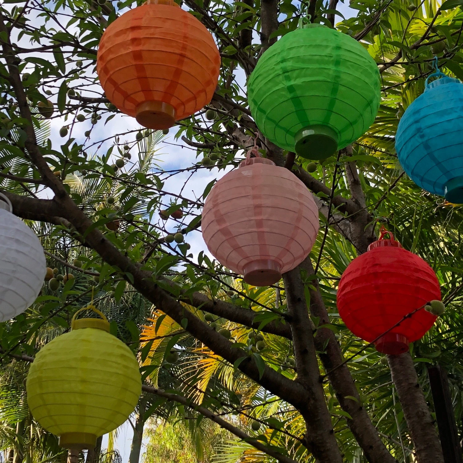 20cm Nylon LED Lantern (lighting Included) 2 20cm Nylon LED Lantern (lighting Included) - Image 2