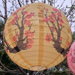 Cherry Blossom Nylon Lantern 40cm Diametre - SALE -Lantern Shop image 37266aea 9d53 4bf9 80c0 b60dbbfea25c