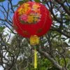 XLarge Printed Chinese Lanterns (50cm) - 2 Pack Nylon 5 XLarge Printed Chinese Lanterns (50cm) - 2 Pack Nylon -Lantern Shop image 5230f6eb 4a5c 4ccb bd9b f0299674ee95