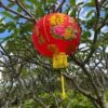 Printed Chinese Lanterns (35cm) - 2 Pack Nylon -Lantern Shop image 7fc0f19b 19f4 464f 91ff 77625da27c33