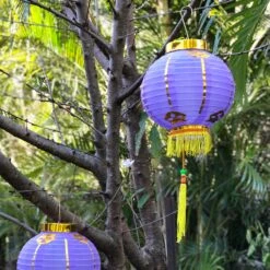 Small Chinese Lanterns (20cm) - Pack 2 Nylon Lanterns 21 Small Chinese Lanterns (20cm) - Pack 2 Nylon Lanterns -Lantern Shop image 881dfa90 5386 4da0 8ce1 62d169a1c432