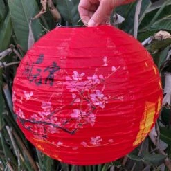 Paper Lantern Red Chinese New Year Cherry Blossom 30cm Diametre -Lantern Shop image b18b4e07 659f 4a6b ab85 3774fca2df9c