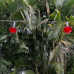 LED Chinese Mini Lantern Decorative Fairy Light String 12 LED Chinese Mini Lantern Decorative Fairy Light String -Lantern Shop image c28a5946 ef53 439e bc3f 99103f4e9ab8