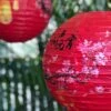 Paper Lantern Red Chinese New Year Cherry Blossom 30cm Diametre -Lantern Shop image c9a9d904 fb06 4544 80d8 8afff1ab9131