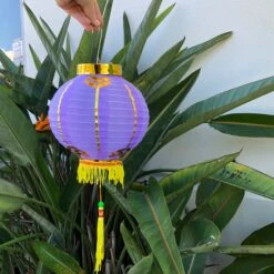 Small Chinese Lanterns (20cm) - Pack 2 Nylon Lanterns 22 Small Chinese Lanterns (20cm) - Pack 2 Nylon Lanterns -Lantern Shop image d83ae8b3 aaaa 4202 ac1c 8c116575401c