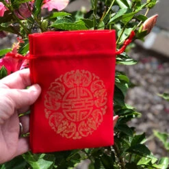 SALE - Chinese Red Silk Bag - Longevity / Dragon Design